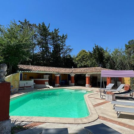Le Clos De L'Isle Arles Eksteriør billede