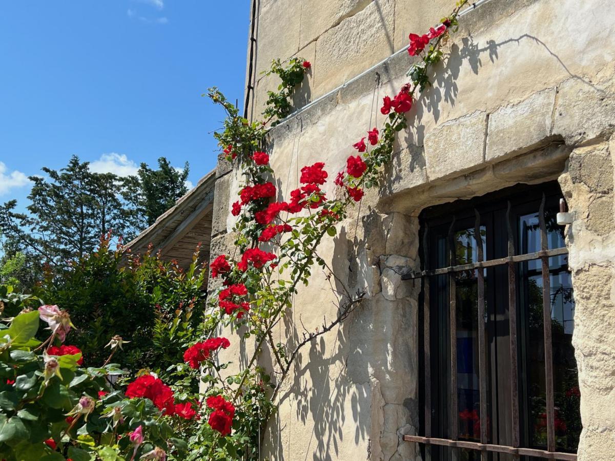 Le Clos De L'Isle Arles Eksteriør billede